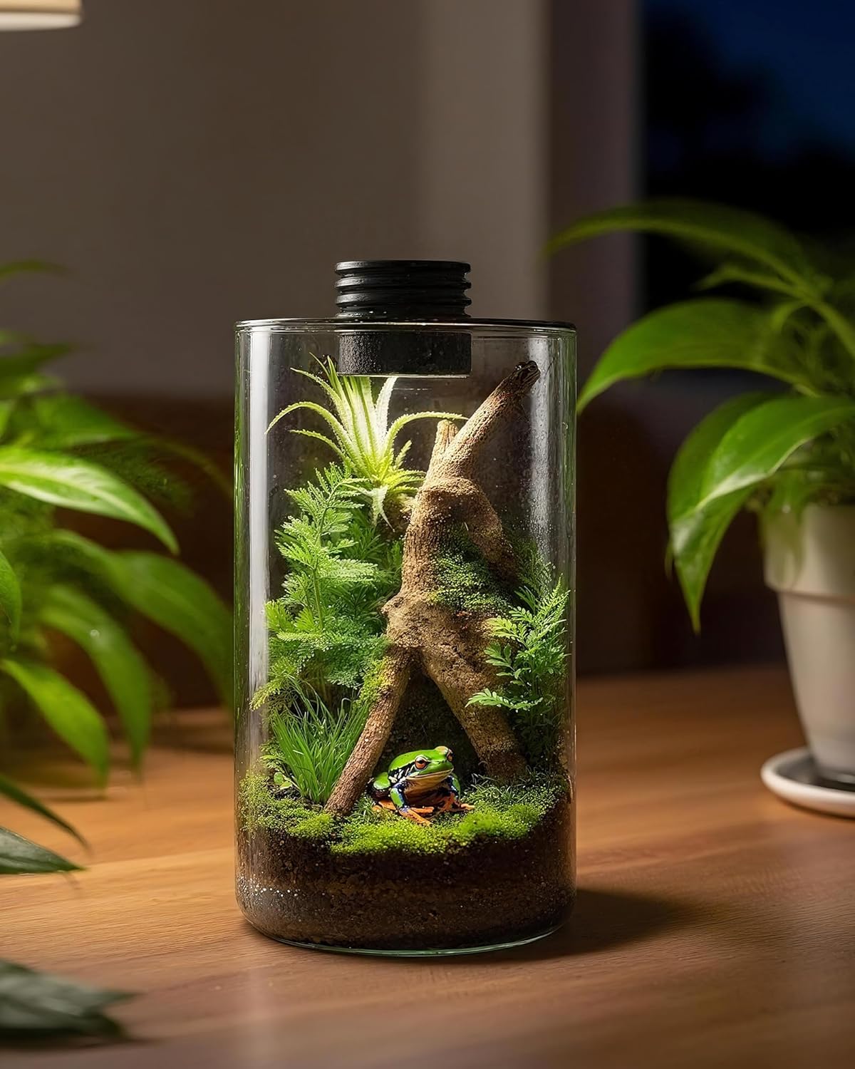 Terrário de Vidro Interno com  - Office Lighting Decor avaliação e preço